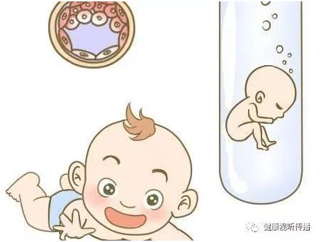 供卵试管代生